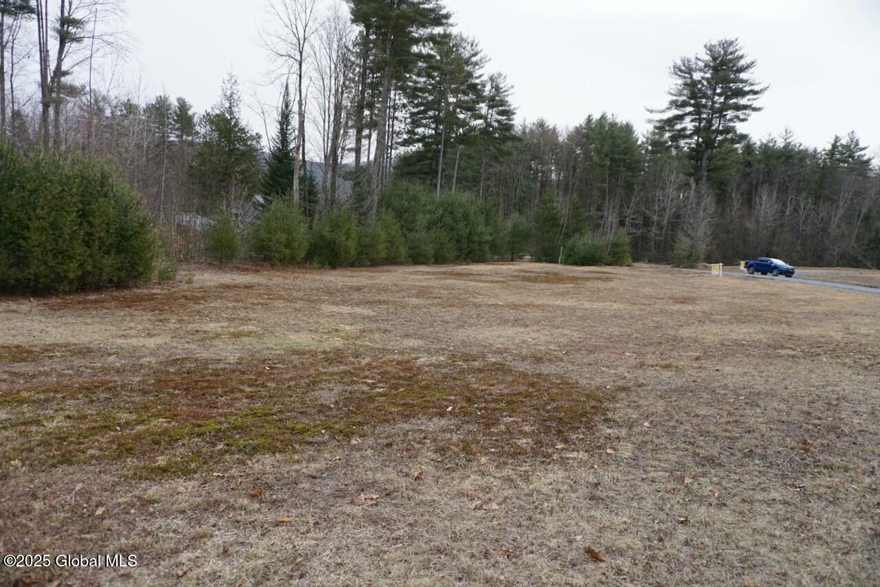 L59 Pine Crest Road Northville, NY 12134 - Photo 3 of 4 tempImagekWYCm0