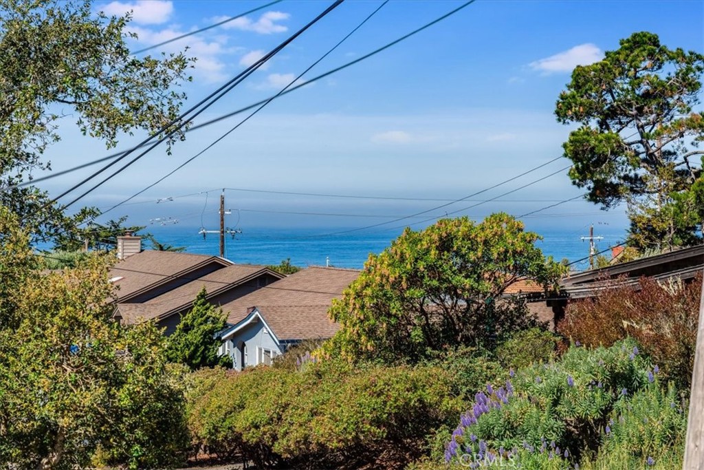 470 Warwick Street Cambria, CA 93428 - Photo 6 of 47 a backyard of a house with lots of green space