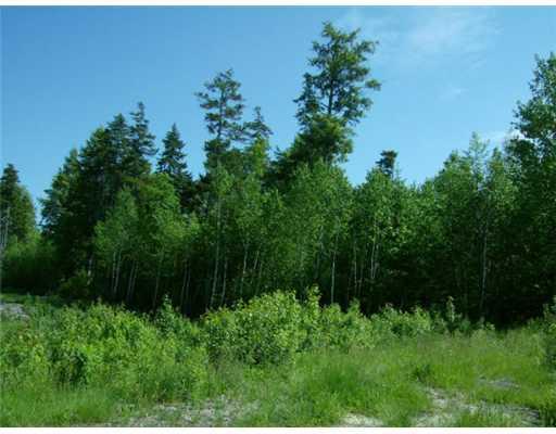 0 Donnell Pond Road Sullivan, ME 04664 - Photo 4 of 8 Land.