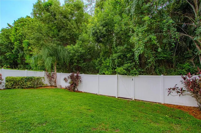 a view of a backyard