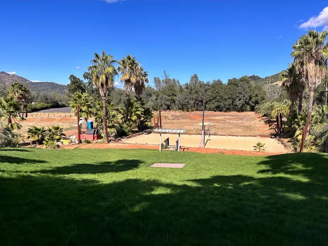 a view of a park with large trees