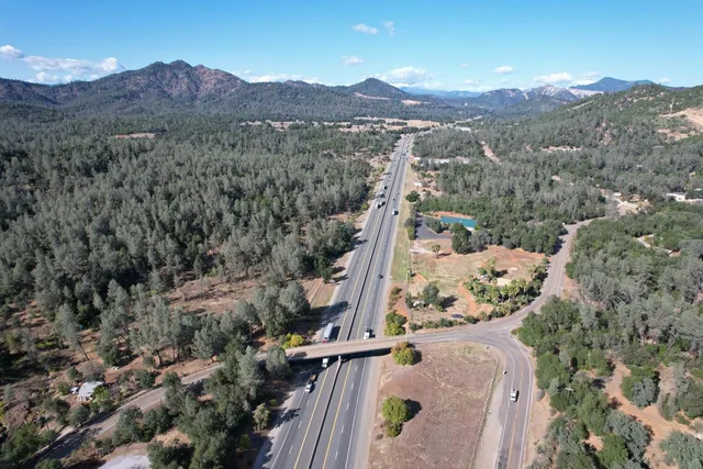 a view of a forest with a mountain