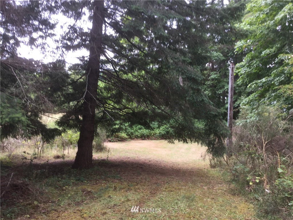 560 East Stretch Island Road South Grapeview, WA 98546 - Photo 16 of 19 Gallery Image 16