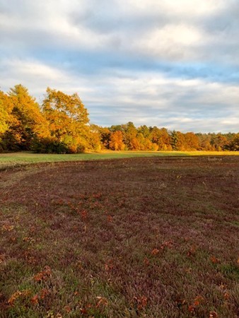 0 Hiller Road Rochester, MA 02770 - Photo 16 of 24