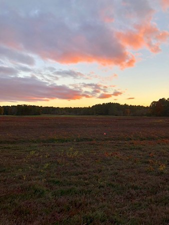 0 Hiller Road Rochester, MA 02770 - Photo 24 of 24