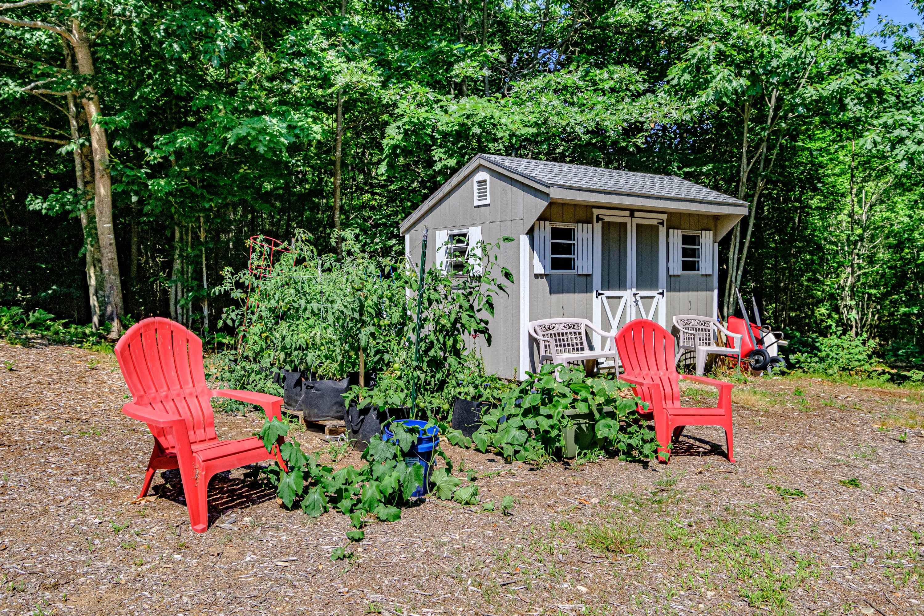 140 Goose Pond Road Acton, ME 04001 - Photo 59 of 82 20220722gp-61052