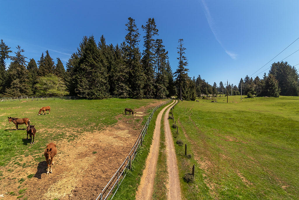 1255 Alder Grove Road Arcata, CA 95521 - Photo 5 of 72