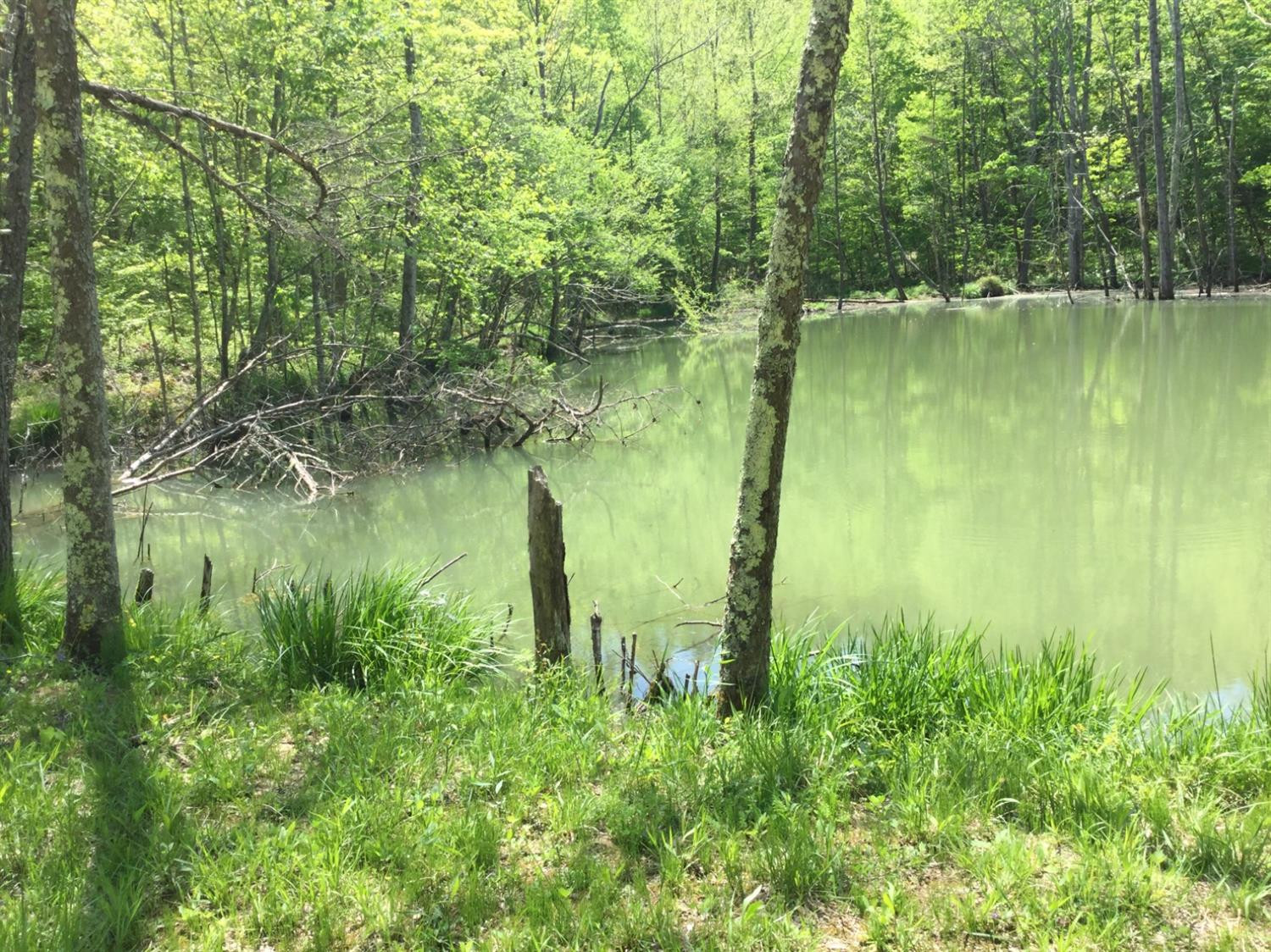 3075 Peter Trace Means, KY 40346 - Photo 12 of 56 Photo 12