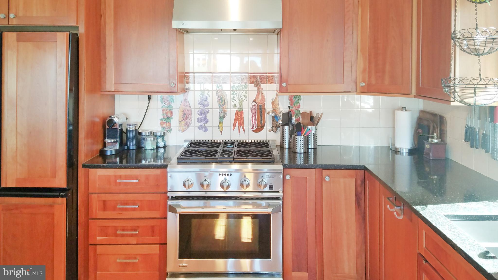 18187 River Road Tall Timbers, MD 20690 - Photo 15 of 60 GE Monogram Profile Series Appliances