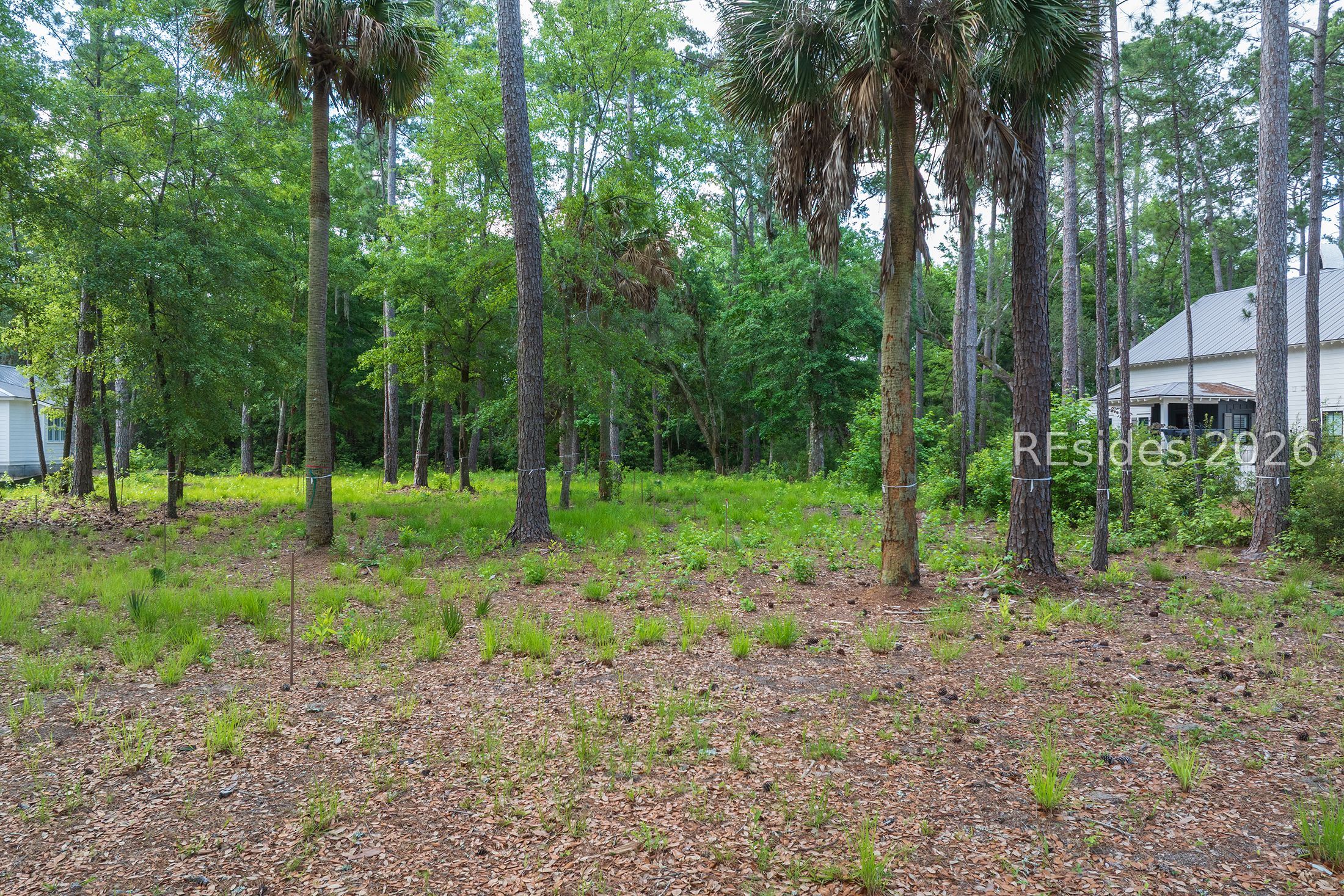 67 Lupine Road Bluffton, SC 29910 - Photo 4 of 19