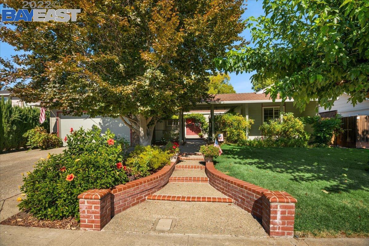 422 Devon Court San Ramon, CA 94583 - Photo 1 of 1 a view of a backyard with potted plants and a large tree