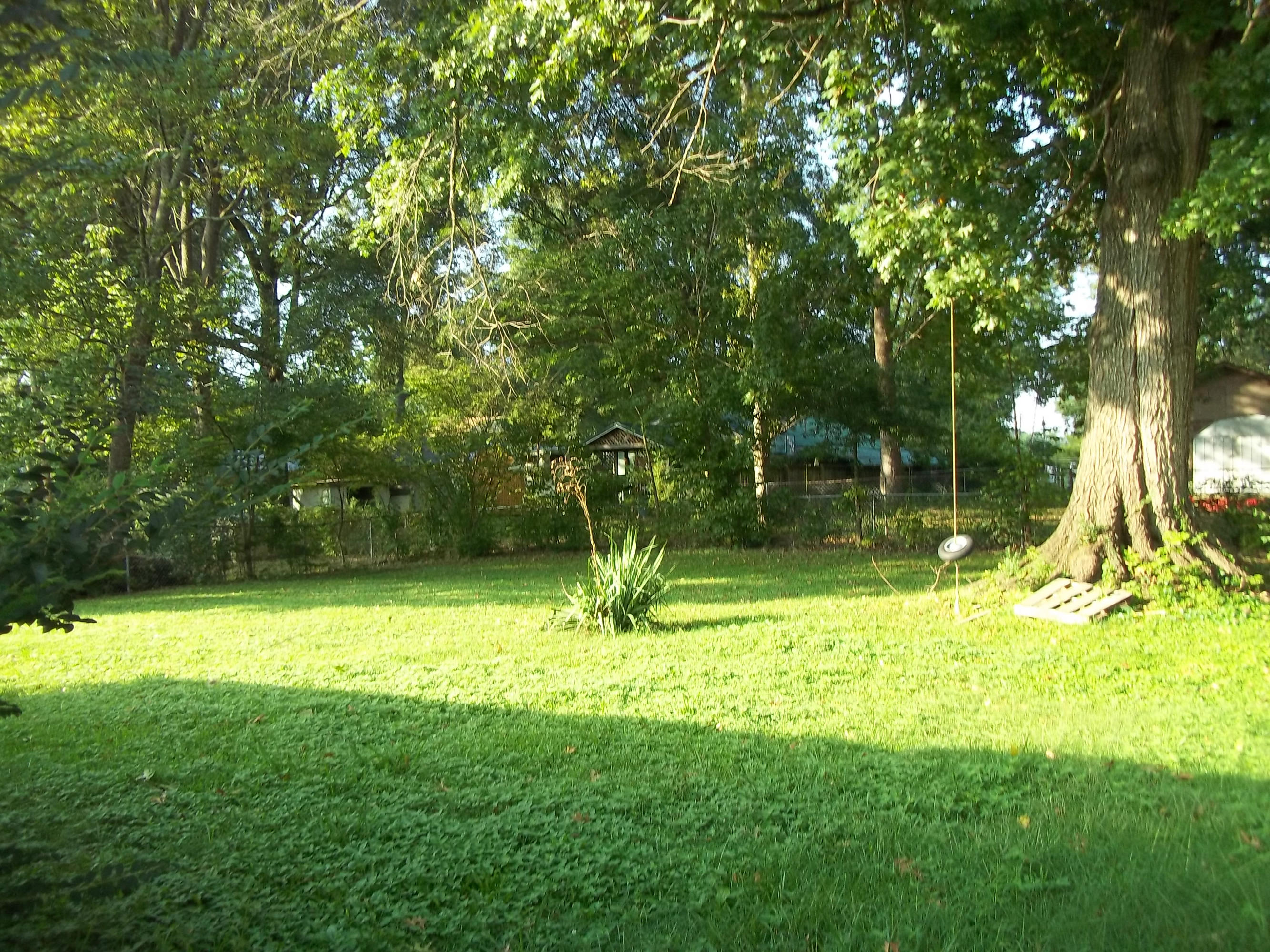126 Nevada Circle Oak Ridge, TN 37830 - Photo 9 of 11 Back Yard