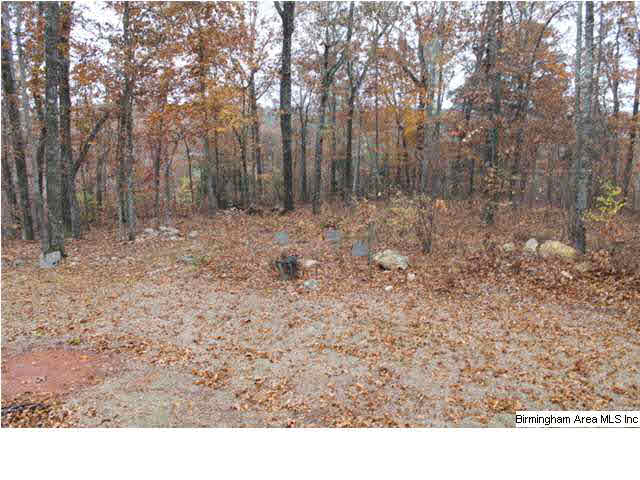 2649 Rabbit Branch Road Cropwell, AL 35054 - Photo 23 of 27