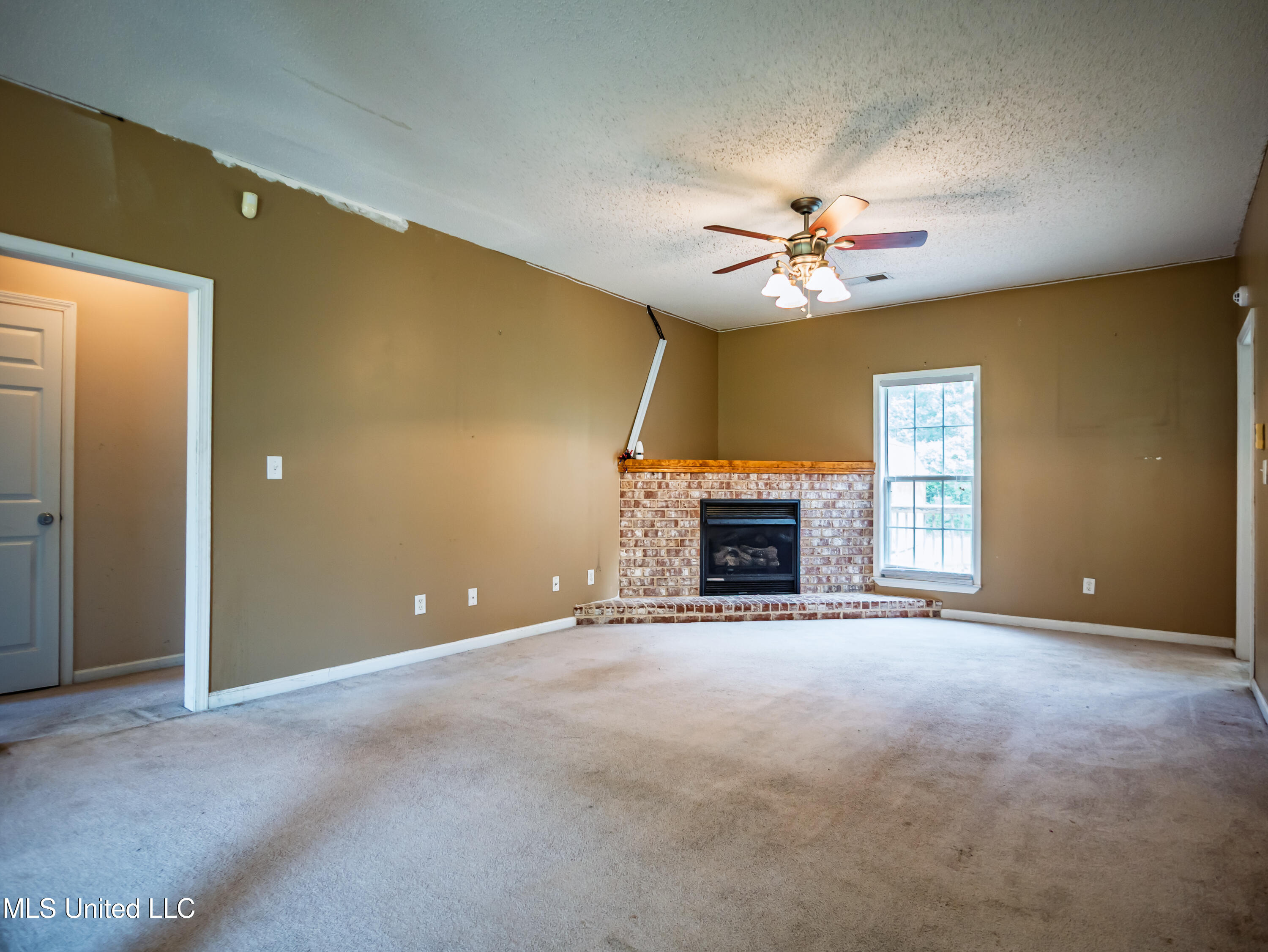 250 Greg Taylor Road Courtland, MS 38620 - Photo 11 of 36 250 Gregory Taylor Rd Courtland MS_2025-