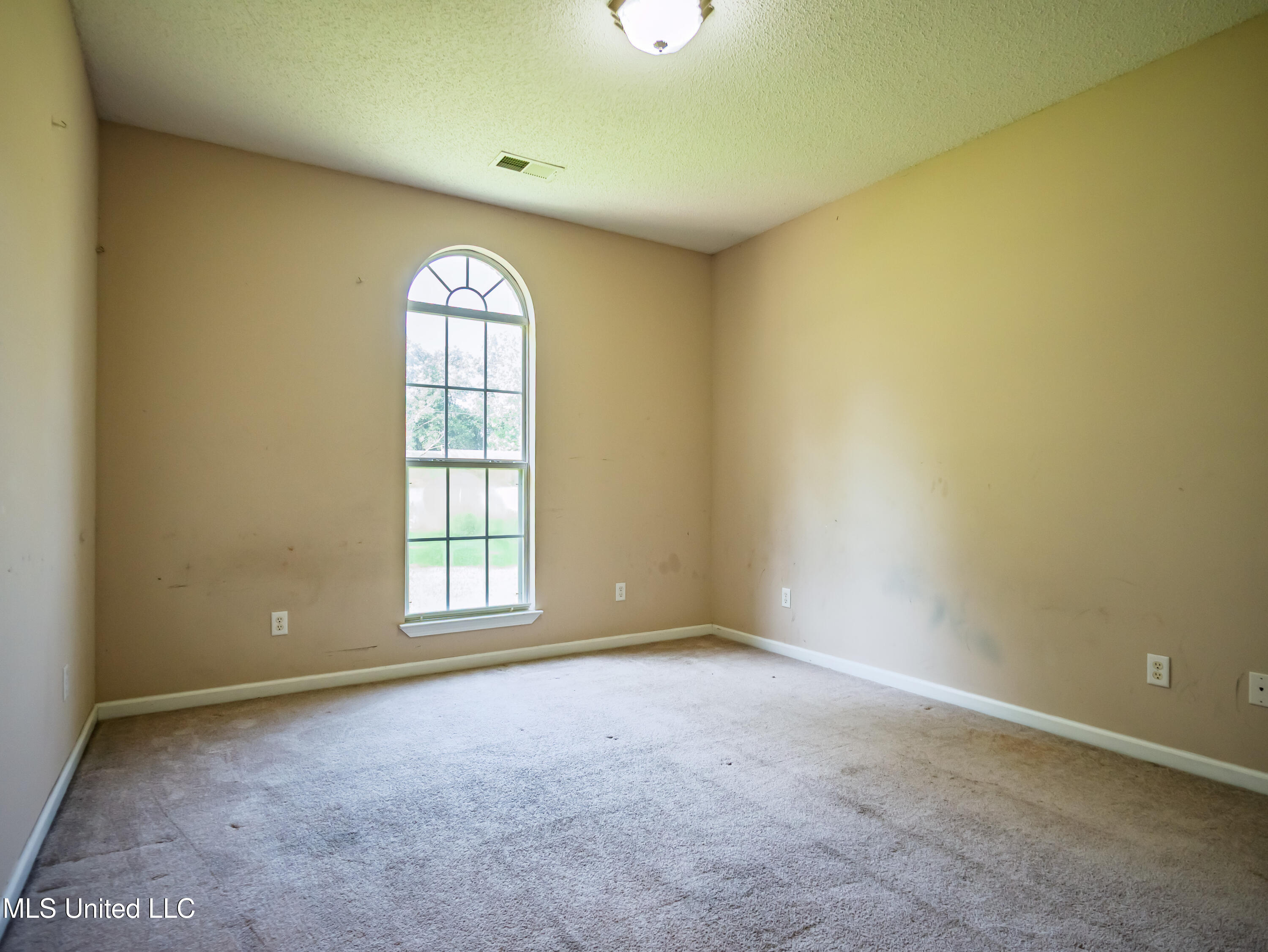 250 Greg Taylor Road Courtland, MS 38620 - Photo 28 of 36 250 Gregory Taylor Rd Courtland MS_2025-
