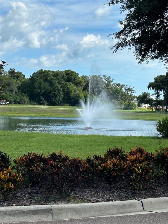 110 Seaside Pt Point Flagler Beach, FL 32136 - Photo 22 of 28 a view of a garden with an outdoor space