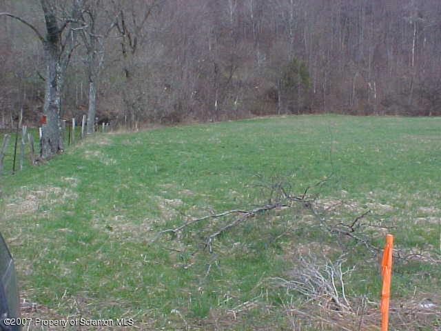 1056 Stevens Point Road Susquehanna, PA 18847 - Photo 1 of 3 front land view