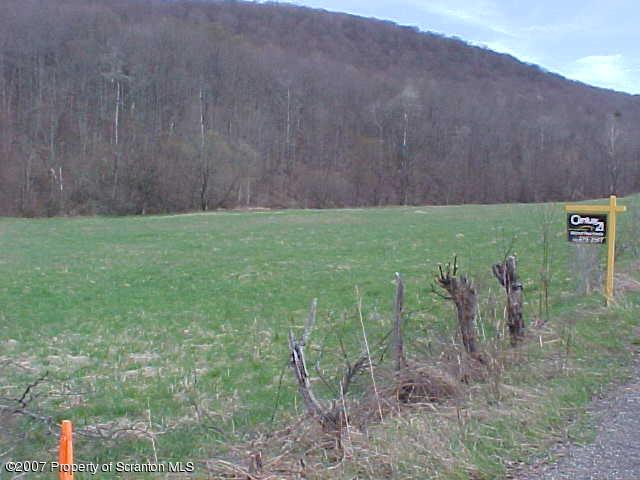 1056 Stevens Point Road Susquehanna, PA 18847 - Photo 3 of 3 property view