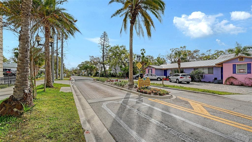1860 7th Street Sarasota, FL 34236 - Photo 60 of 75 a view of a palm trees in a yard with palm trees