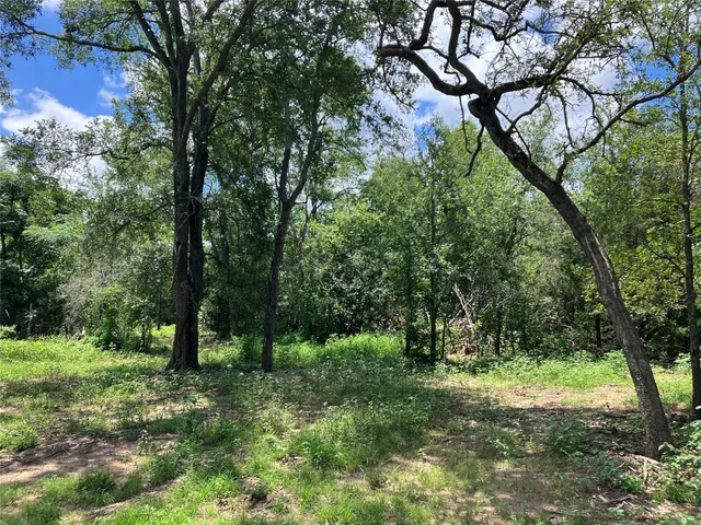 $229,700 | 693 St Mary's Road, Rosanky, TX 78953