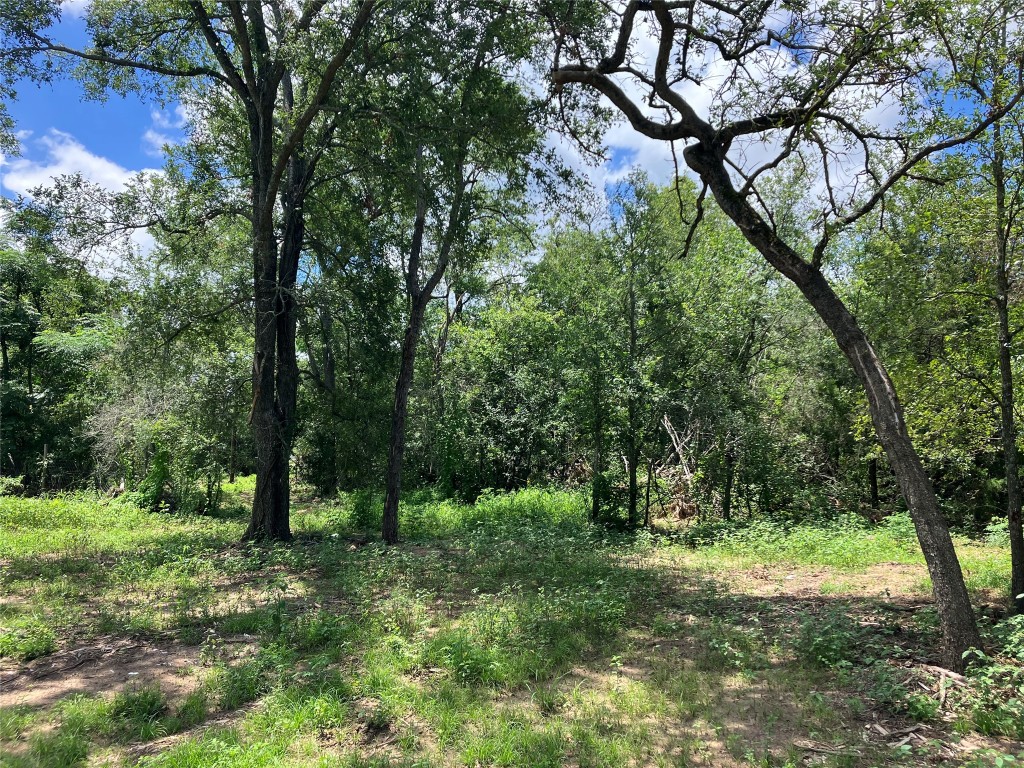 693 St Mary's Road Rosanky, TX 78953 - Photo 19 of 20 Property is secluded with mature native trees.