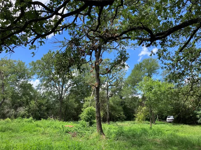 $229,700 | 693 St Mary's Road, Rosanky, TX 78953