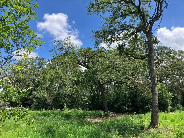 $229,700 | 693 St Mary's Road, Rosanky, TX 78953