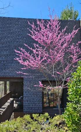 $268,500 | 323 Hickory Bluff, Johnson City, TN 37601