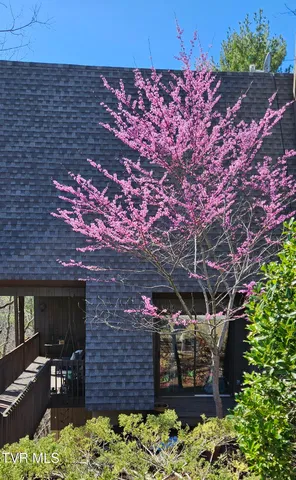 $268,500 | 323 Hickory Bluff, Johnson City, TN 37601