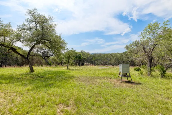 a green field with lots of trees