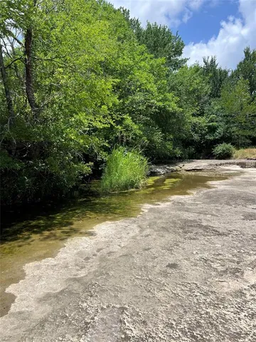 a view of a forest with trees