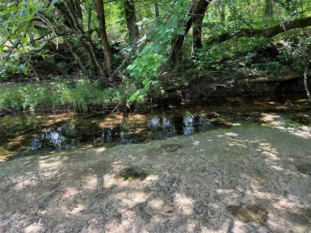 a view of a lake from a yard