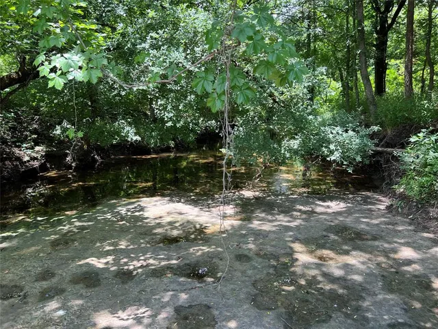 a view of a lake from a yard