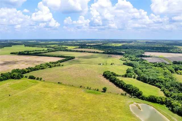 a view of a yard in front of the house with a yard