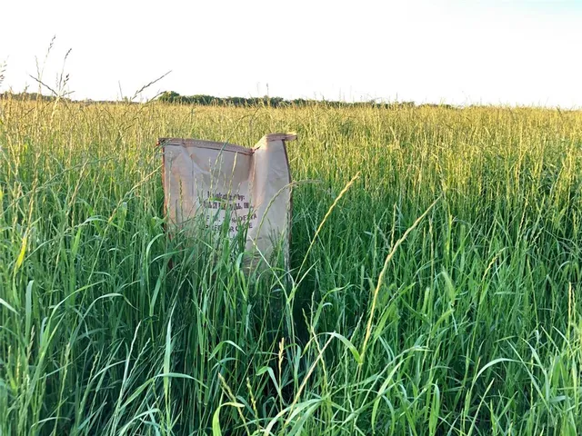 $950,000 | 3735 Bonham Tx 75418, Leonard, TX 75452