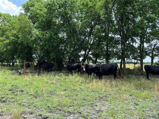 a view of a lake view