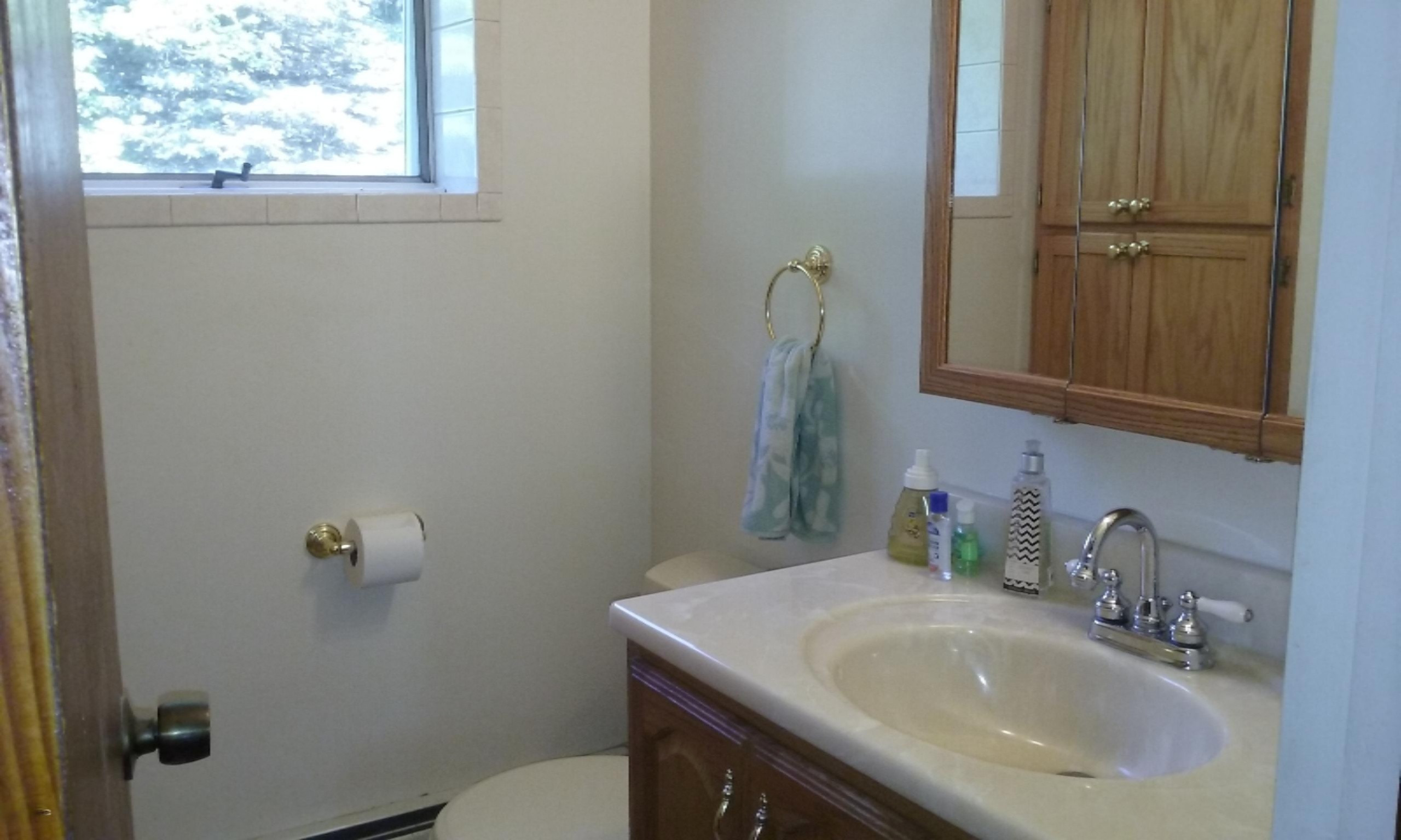 8600 Bayview Road Onekama, MI 49675 - Photo 22 of 65 2016-09-01 11.30.08