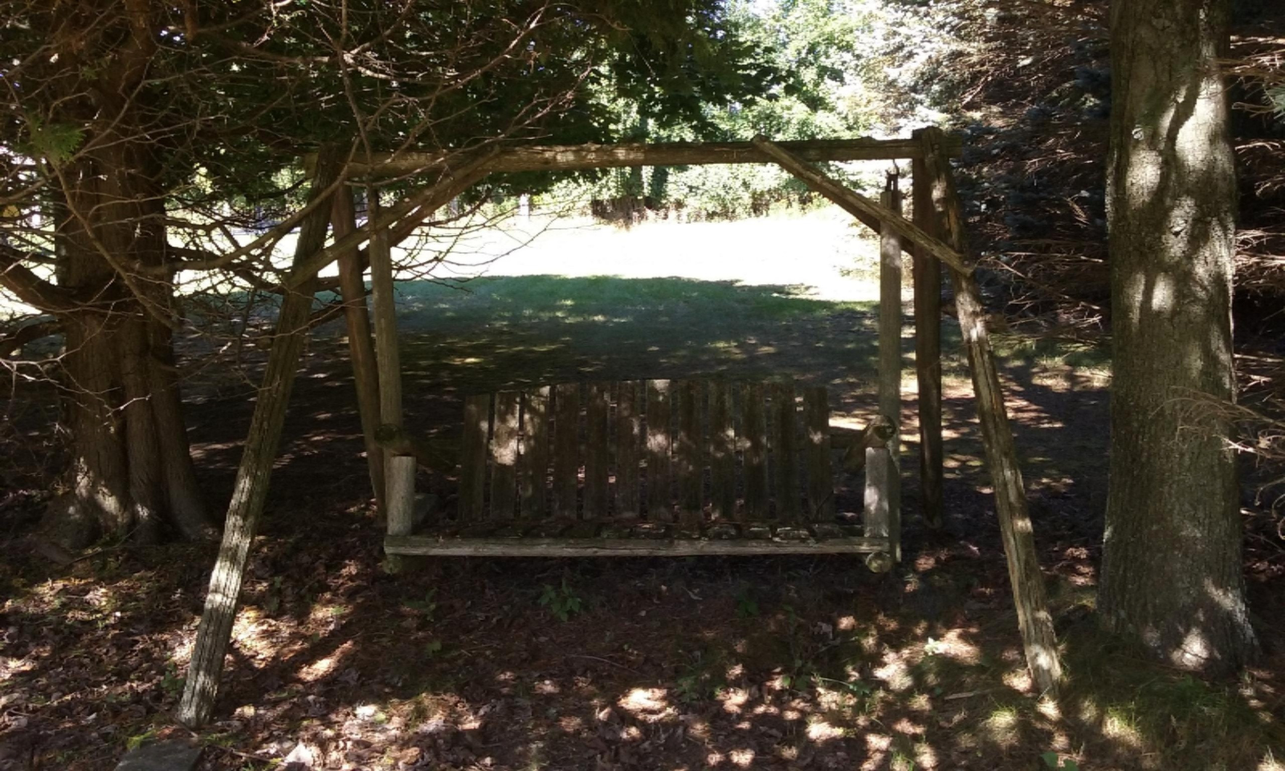 8600 Bayview Road Onekama, MI 49675 - Photo 49 of 65 2016-09-01 11.58.39