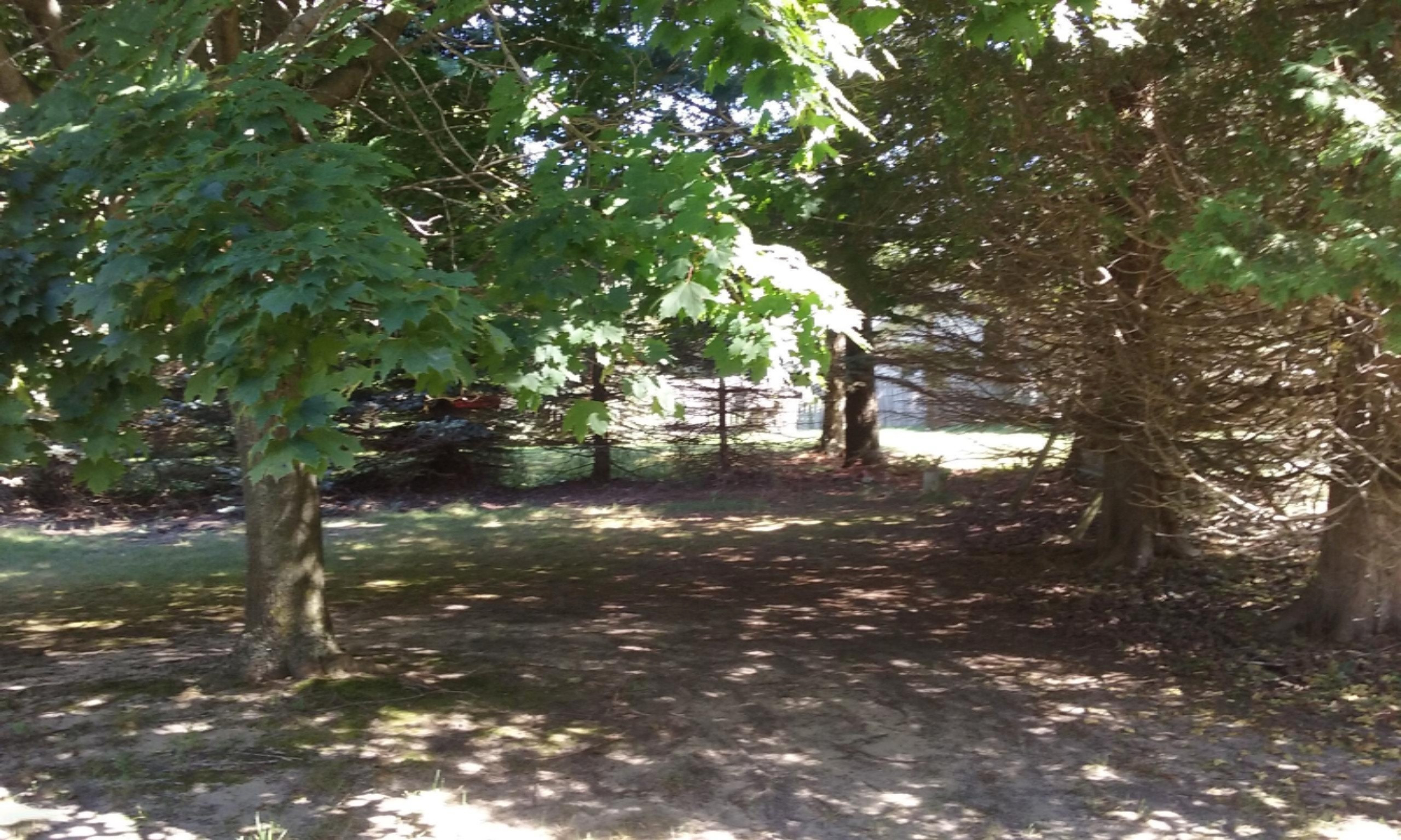 8600 Bayview Road Onekama, MI 49675 - Photo 50 of 65 2016-09-01 11.59.23