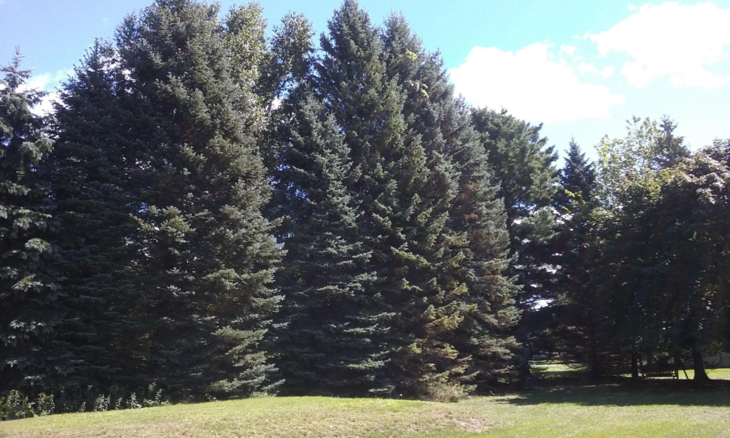 8600 Bayview Road Onekama, MI 49675 - Photo 54 of 65 2016-09-01 12.00.43
