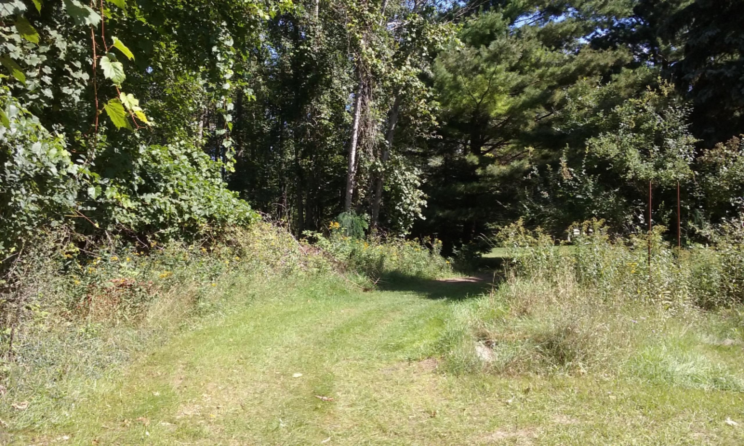 8600 Bayview Road Onekama, MI 49675 - Photo 55 of 65 2016-09-01 12.01.27