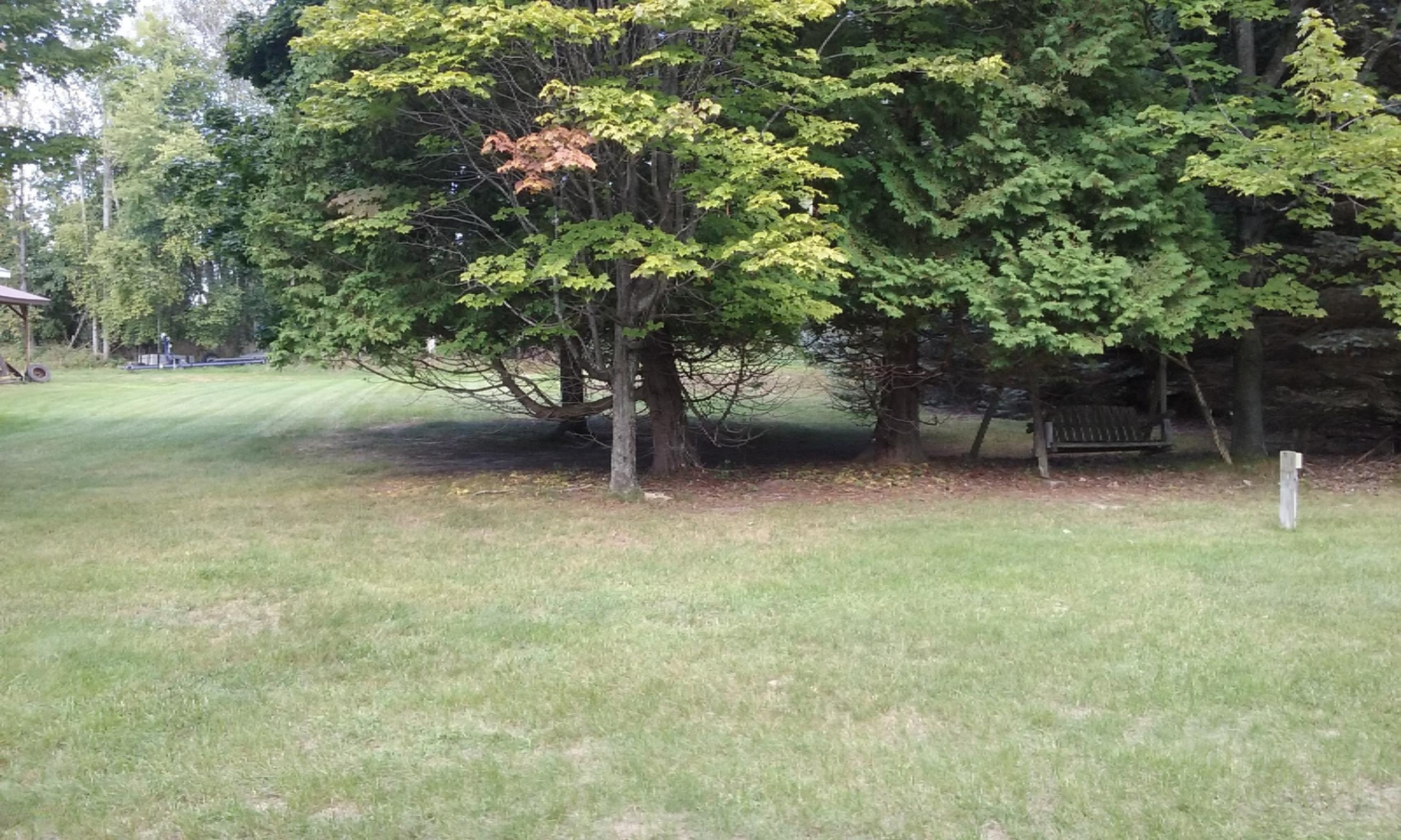 8600 Bayview Road Onekama, MI 49675 - Photo 58 of 65 2016-09-01 11.37.38