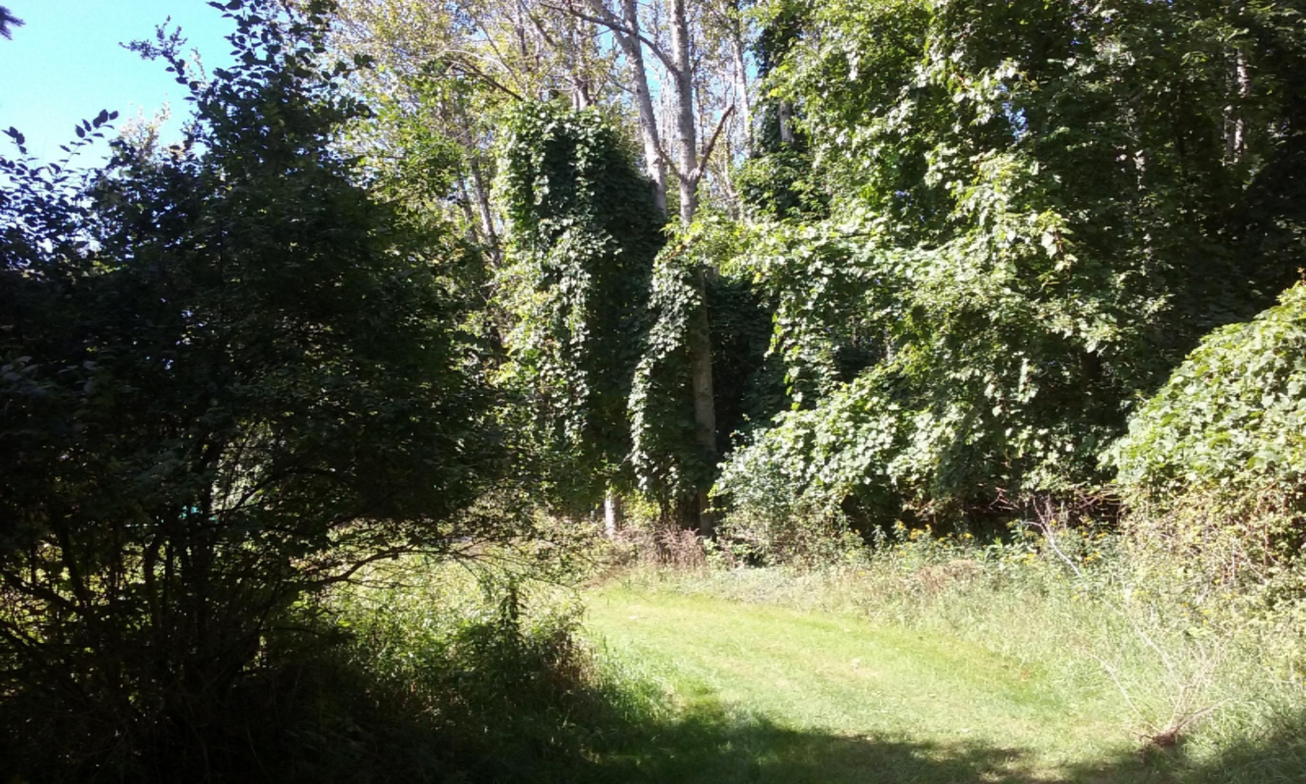 8600 Bayview Road Onekama, MI 49675 - Photo 59 of 65 2016-09-01 12.02.49
