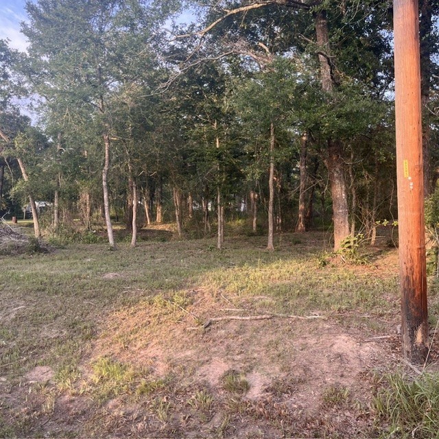 0 Kerny Hempstead, TX 77445 - Photo 5 of 7