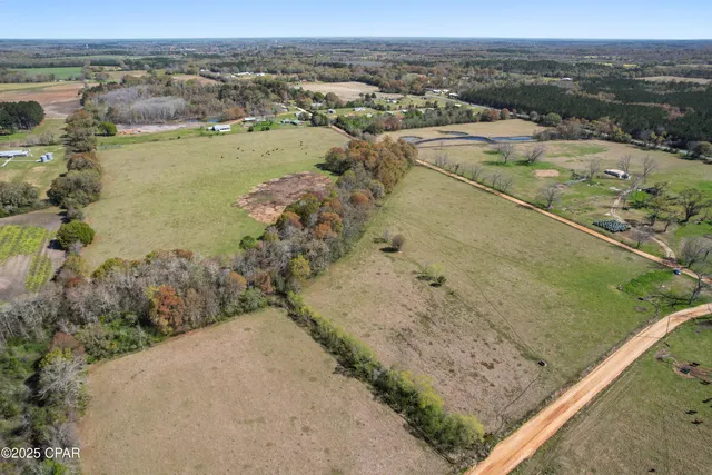 $299,900 | Tbd Orchard Road, Graceville, FL 32440