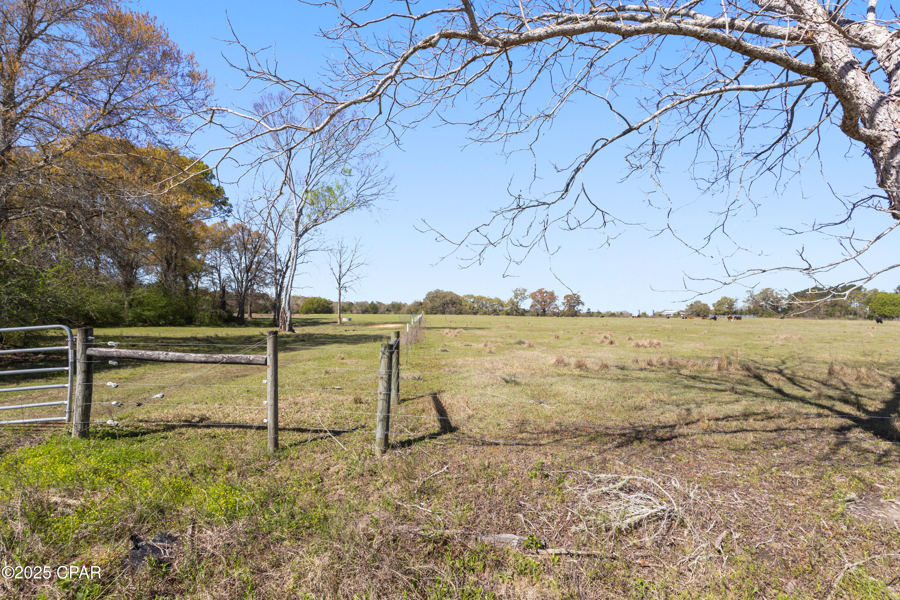 Tbd Orchard Road Graceville, FL 32440 - Photo 6 of 6