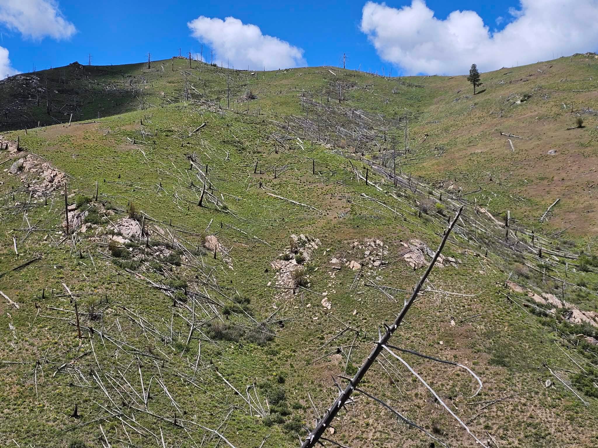 Nhn Blind Creek Draw Road Conner, MT 59827 - Photo 6 of 27 Gallery Image 6