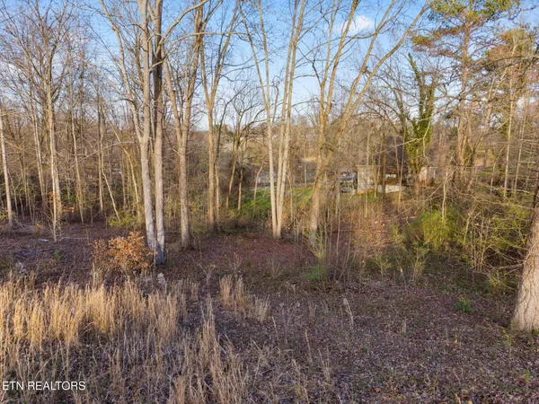 $29,899 | Lot 39 Idlewild Drive, White Pine, TN 37890