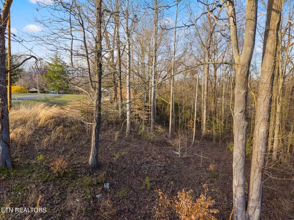 $29,899 | Lot 39 Idlewild Drive, White Pine, TN 37890