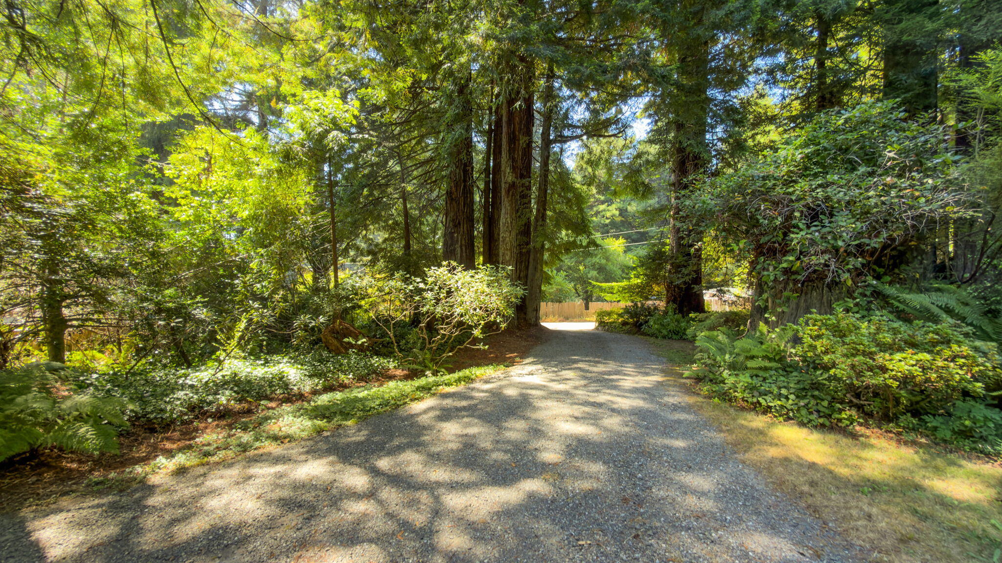 68 Fox Farm Road Trinidad, CA 95570 - Photo 5 of 62 Gallery Image 5